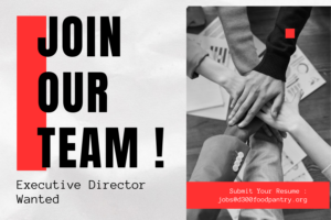 Join our team - Executive Director wanted